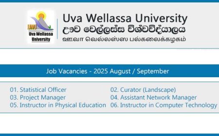 Uva Wellassa University Job Vacancies 2025 – Statistical Officer, Curator, Project Manager and Instructors