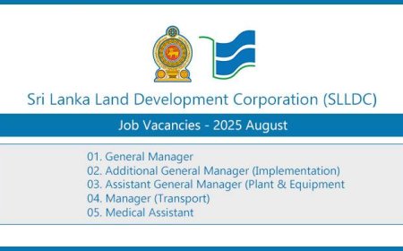 Sri Lanka Land Development Corporation (SLLDC) Job Vacancies – August 2025