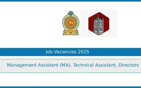 Tower Hall Theatre Foundation (THTF) Job Vacancies 2025 – Management Assistant, Technical Assistant and Directors