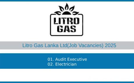 Litro Gas – Audit Executive and Electrician Vacancies 2025