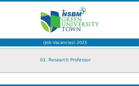 NSBM Green University – Research Professor Vacancy 2025