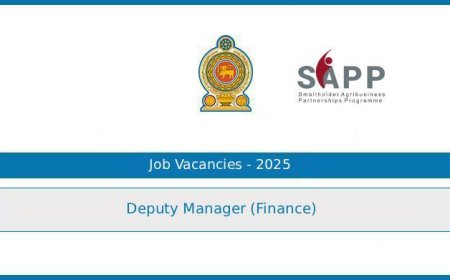 Agriculture Ministry (SAPP Project) – Deputy Manager (Finance) Vacancy 2025