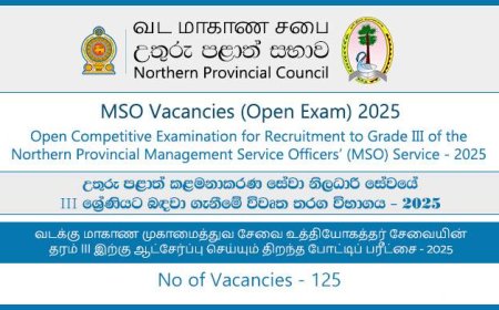 Northern Province Management Service Officers (MSO) Vacancies 2025 – Open Competitive Examination (125 Vacancies)