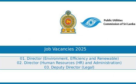 Public Utilities Commission (PUCSL) Director Jobs 2025