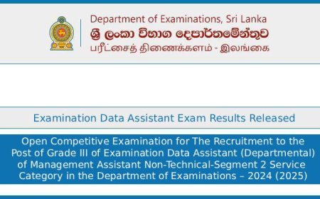 Examination Data Assistant Exam Results 2024/2025 Released – Check Marks Online