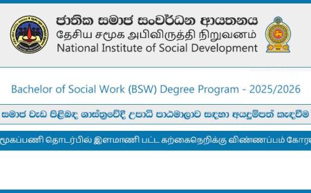 Bachelor of Social Work (BSW) Honours Degree Program 2025/2026 – National Institute of Social Development (NISD)