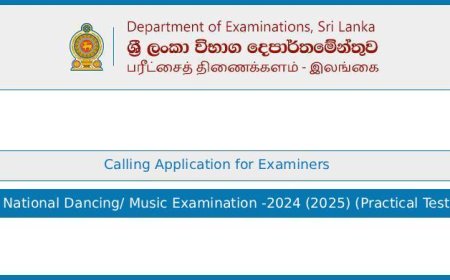 National Dancing and Music Examination 2024/2025 – Application for Examiners (Practical Test)