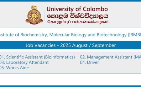 University of Colombo (IBMBB) – Job Vacancies 2025 (September)