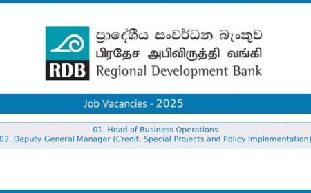 Regional Development Bank (RDB Bank) Vacancies 2025 – Head of Business Operations, Deputy General Manager