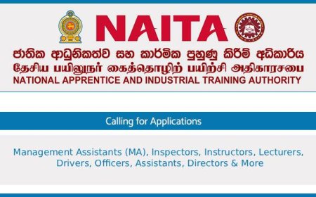 NAITA 266 Job Vacancies 2025 – Management Assistants, Inspectors, Instructors, Lecturers and More