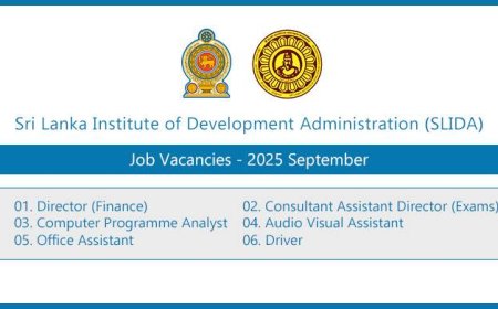 SLIDA Vacancies 2025: Apply Online for Director, Consultant, Analyst and Other Positions