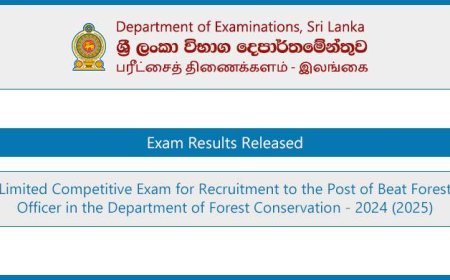 Beat Forest Officer Limited Exam Results 2024 (2025)