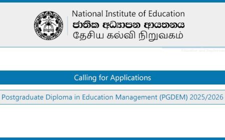 Postgraduate Diploma in Education Management (PGDEM) 2025/26 – National Institute of Education (NIE)