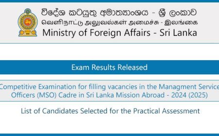 MSO Mission Exam Results Released (Qualified List) 2025