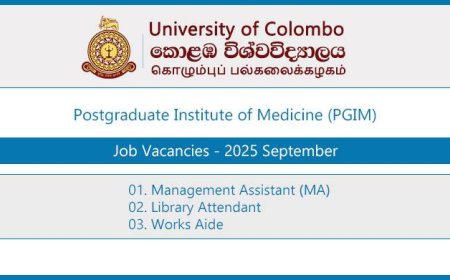 University of Colombo (PGIM) Vacancies – Management Assistant, Library Attendant and Works Aide (September 2025)