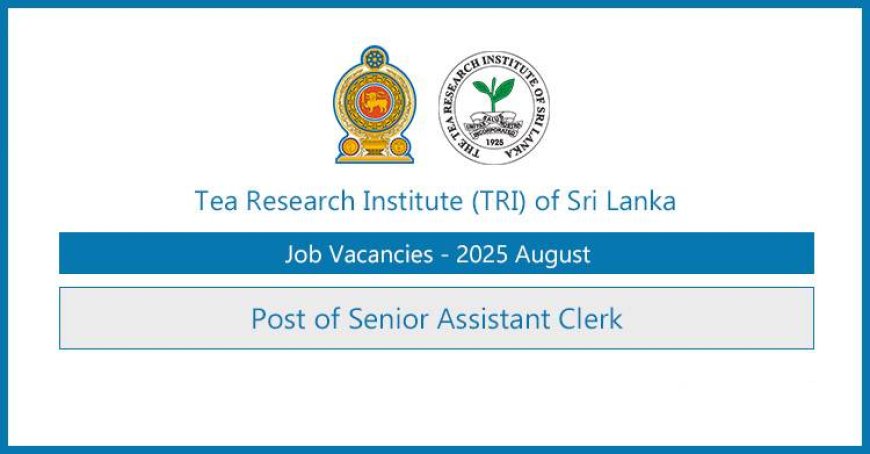 Tea Research Institute (TRI) Senior Assistant Clerk Vacancies 2025 | Apply Now