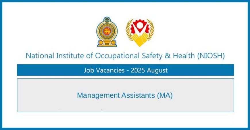 National Institute of Occupational Safety and Health Jobs 2025 – Management Assistants (MA)