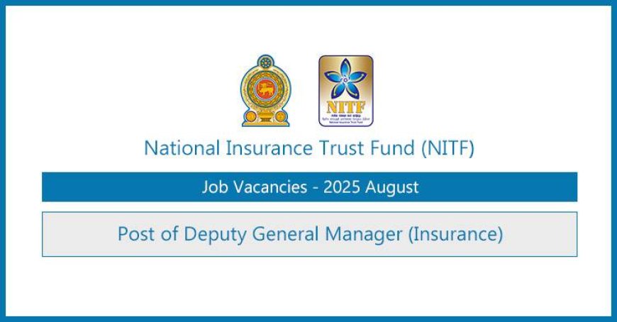 National Insurance Trust Fund (NITF) – Deputy General Manager (Insurance) Vacancy 2025
