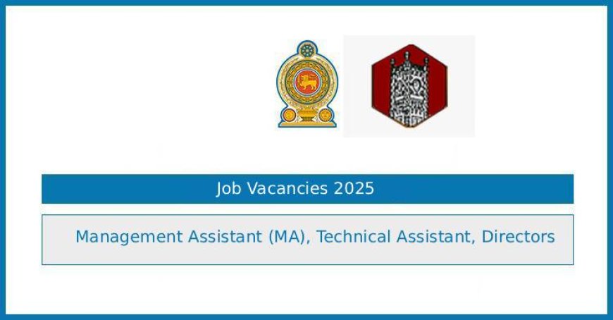Tower Hall Theatre Foundation (THTF) Job Vacancies 2025 – Management Assistant, Technical Assistant and Directors