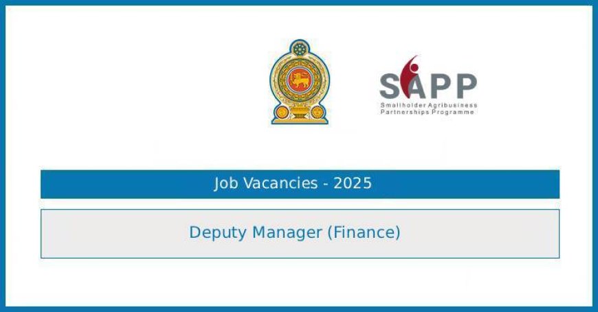 Agriculture Ministry (SAPP Project) – Deputy Manager (Finance) Vacancy 2025