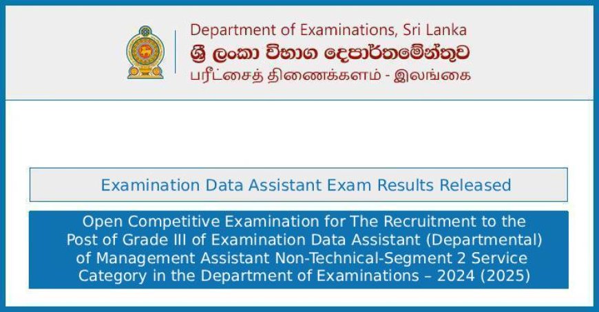 Examination Data Assistant Exam Results 2024/2025 Released – Check Marks Online