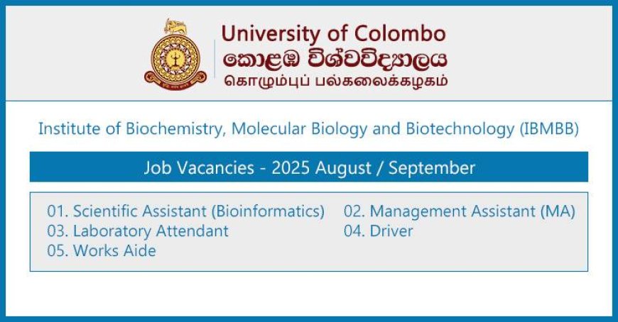 University of Colombo (IBMBB) – Job Vacancies 2025 (September)