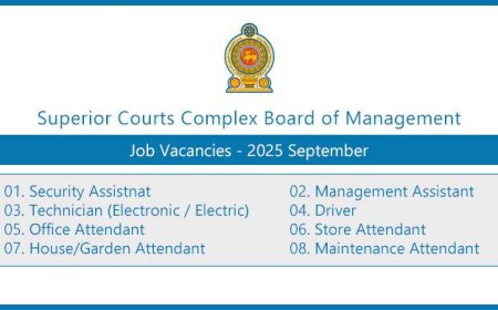 Superior Courts Complex Board of Management – Job Vacancies 2025 September